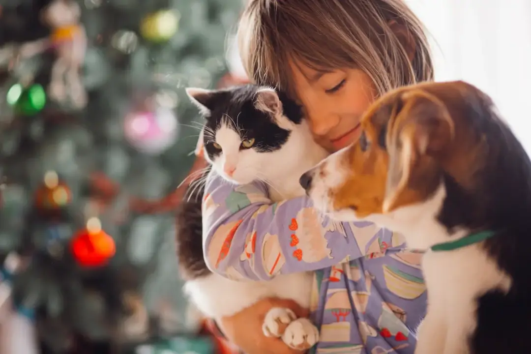 Castração previne doenças, mas não determina a longevidade dos pets