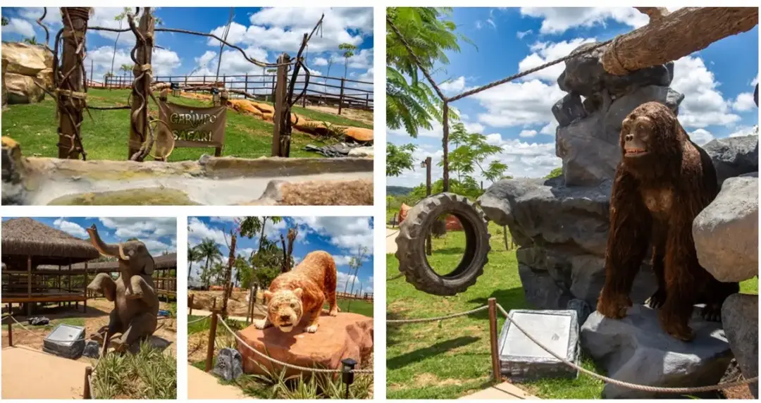 Parque avestruz safari